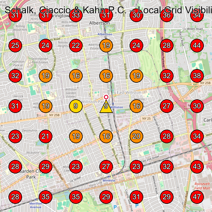 Schalk, Ciaccio & Kahn P.C. GeoGrid visibility map for Personal Injury Attorney in Mineola